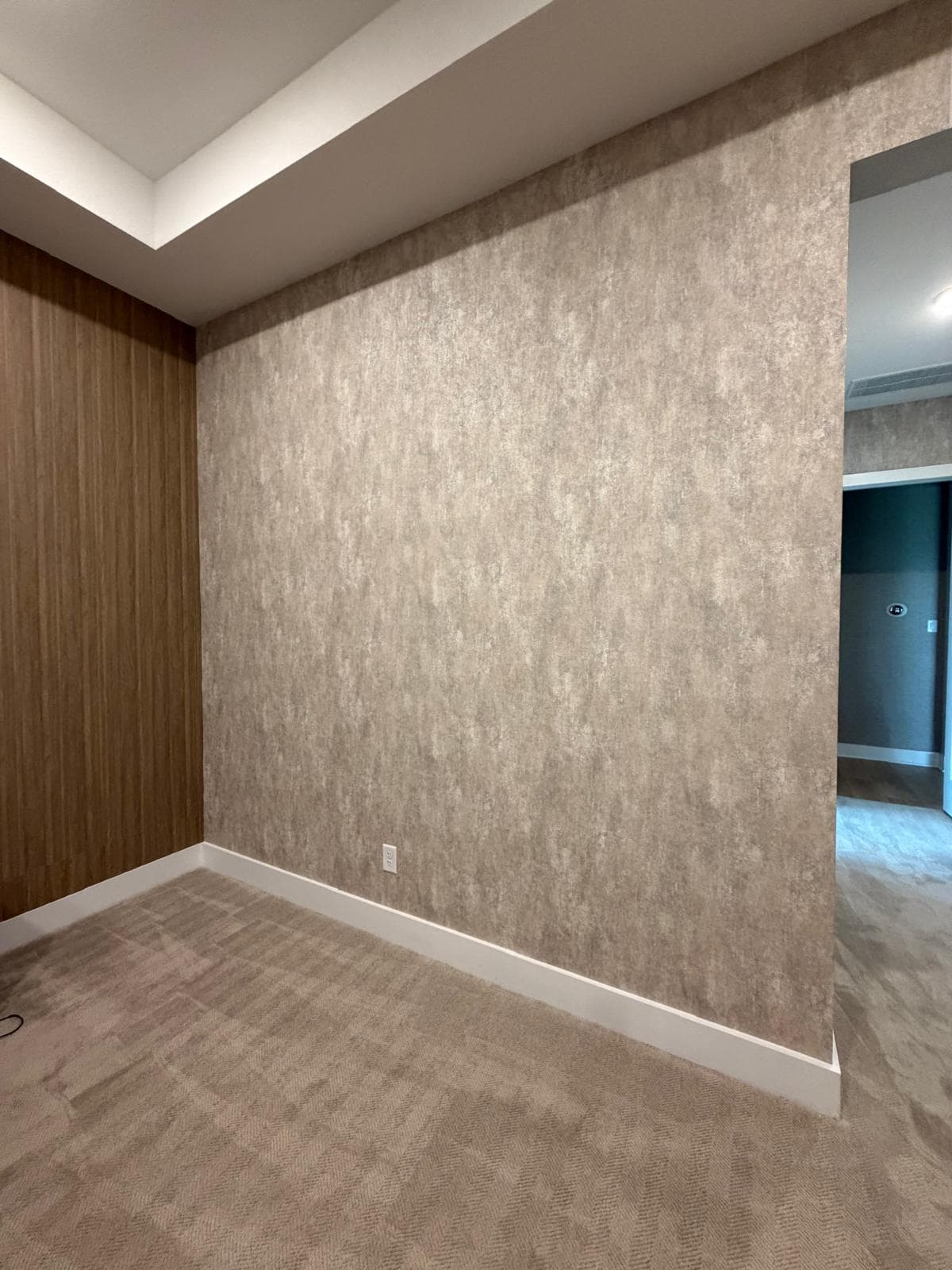 Modern room corner featuring textured beige wallpaper, vertical wood paneling, and neutral plush carpeting.
